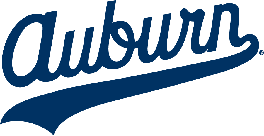 Auburn Tigers 1985-1994 Wordmark Logo iron on transfers for clothing